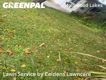 Grass Cut nearby Hollywood, FL, 