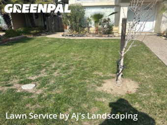 Work completed by professional-lawn-care-service-in-Tracy-CA