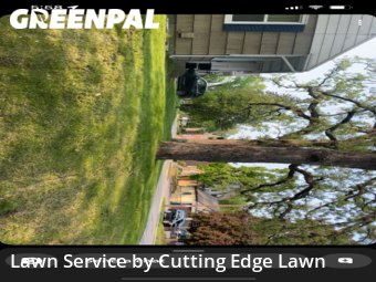 Yard Cutting nearby Rochester, MN, 