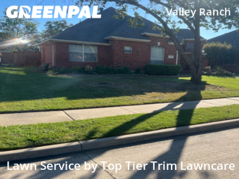 Grass Cut nearby Irving, TX, 