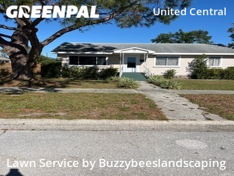 Grass Cuttingin St Petersburg,33713,Lawn Mowing by Buzzybeeslandscaping, work completed in Jan , 2026