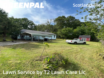 Grass Cut nearby Baton Rouge, LA, 