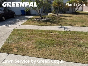 Lawn Mowing nearby Tampa, FL, 
