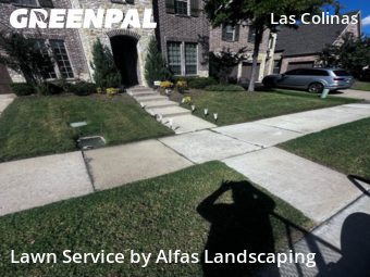 Landscaping Companies In Irving,75063,Landscaping Cleanup by Alfas Landscaping, work completed in Oct , 2025