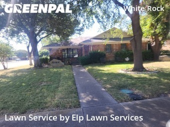 Yard Mowing nearby Dallas, TX, 