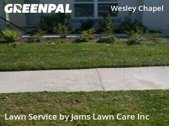 Lawn Mowing Service nearby Wesley Chapel, FL, 