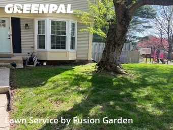 Yard Mowing nearby Derwood, MD, 