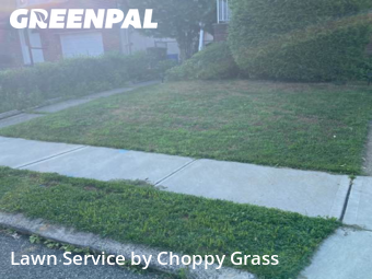 Lawn Mowing Service nearby Fort Lee, NJ, 