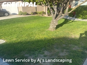 Lawn Mowing nearby Manteca, CA, 