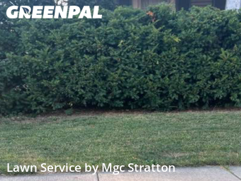 Work completed by local-lawn-cutting-services-in-Lakewood-CA