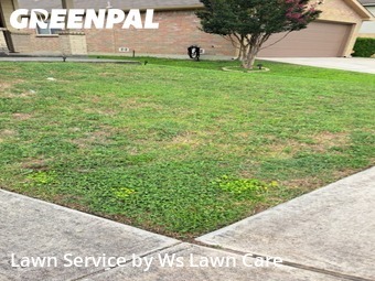 Yard Cutting nearby San Antonio, TX, 
