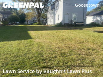 Yard Services in Evansville, 47713, Yard Grooming by Vaughn’s Lawn Plus, work completed in Nov , 2025