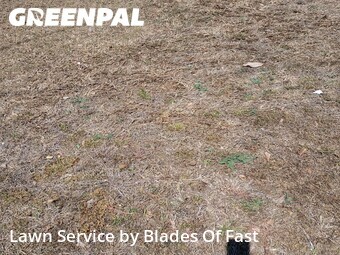Grass Cutting nearby College Park, GA, 