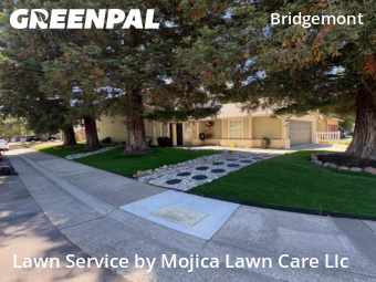 Work completed by local-lawn-cutting-services-in-Citrus Heights-CA