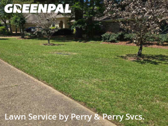 Yard Cutting nearby Madison, MS, 