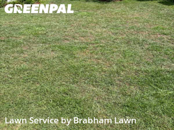 Yard Cutting nearby Baton Rouge, LA, 