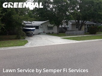 Grass Cut nearby St. Petersburg, FL, 