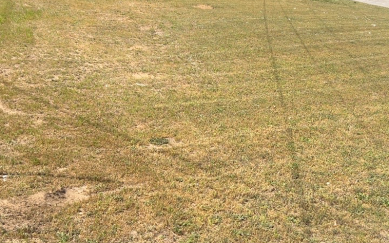 Work Image 5