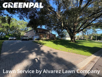 Grass Cutin Altamonte Springs,32701,Grass Cutting by Alvarez Lawn Company, work completed in Nov , 2025