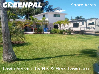 Grass Cut nearby St. Petersburg, FL, 