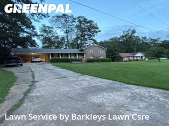 Yard Cutting in Griffin, 30224, Yard Work by Barkleys Lawn Csre, work completed in Nov , 2025