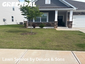 Lawn Mow nearby Simpsonville, SC, 