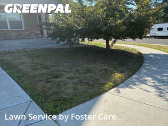 Lawn Cutin Commerce City,80022,Lawn Maintenance by Foster Care , work completed in Oct , 2025