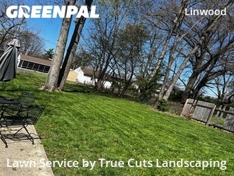 Landscaping Cleanup In Columbus,43227,Landscaping Services by True Cuts Landscaping, work completed in Apr , 2026