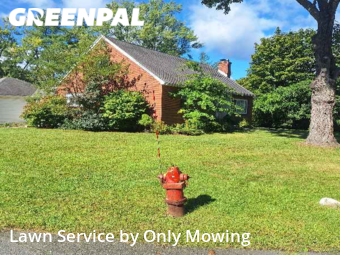 Yard Mowing nearby Schenectady, NY, 