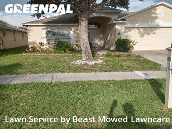 Lawn Mow nearby Wesley Chapel, FL, 