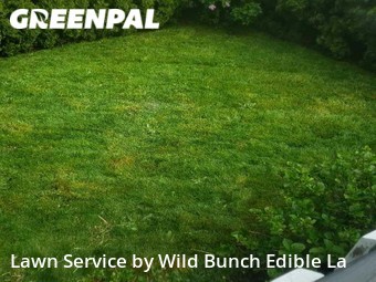 Lawn Care nearby Tacoma, WA, 