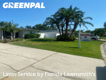 Lawn Cut nearby St. Petersburg, FL, 