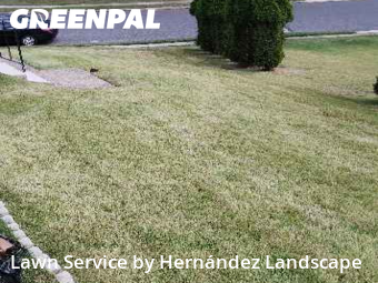 Grass Cutting nearby Springfield Township, PA, 