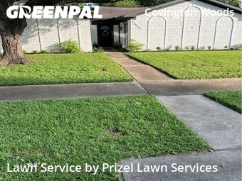 Lawn Cutting nearby Sugar Land, TX, 