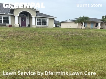 Grass Cut nearby Cape Coral, FL, 