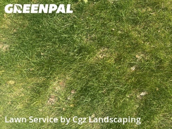 Yard Cutting nearby Mc Keesport, PA, 