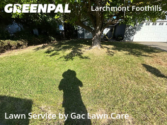 Lawn Cut nearby Sacramento, CA, 