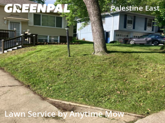 Lawn Cutting nearby Raytown, MO, 