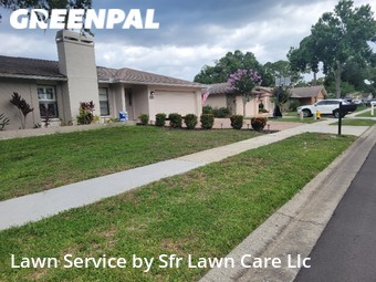 Yard Care in East Lake, 34685, Lawn Care by Sfr Lawn Care Llc, work completed in Nov , 2025