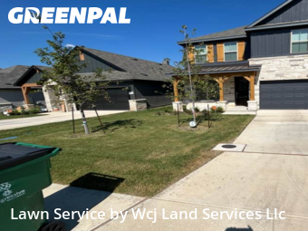 Lawn Cuttingin Seguin,78155,Lawn Mow by Wcj Land Services Llc, work completed in Dec , 2025
