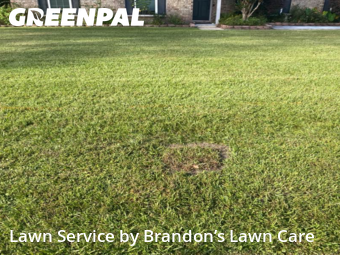 Lawn Work in Savannah, 31419, Lawn Work by Brandon’s Lawn Care , work completed in Nov , 2025