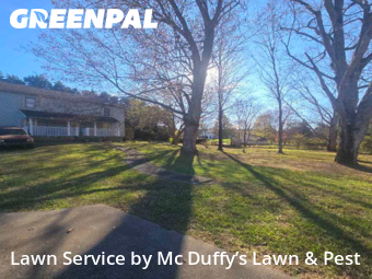 Yard Mowing nearby Kodak, TN, 