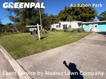 Backyard Landscaping In Orlando,32803,Landscaping Maintenance by Alvarez Lawn Company, work completed in Nov , 2025