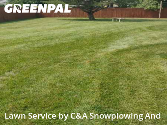 Lawn Care in Wheeling, 60090, Yard Care by C&A Snowplowing And , work completed in Nov , 2025