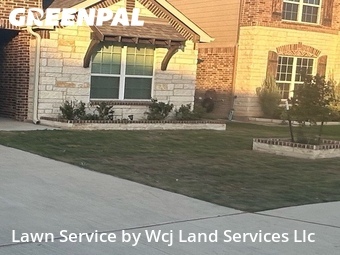 Grass Cut nearby New Braunfels, TX, 