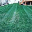 lawn-maintenance-in-Champaign-IL