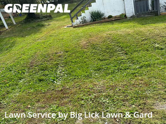 Yard Cutting nearby Roanoke, VA, 