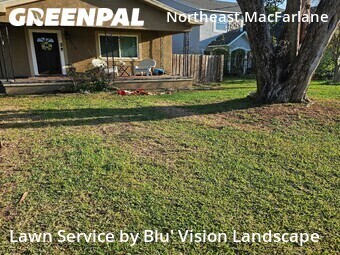 Lawn Cutting nearby Tampa, FL, 