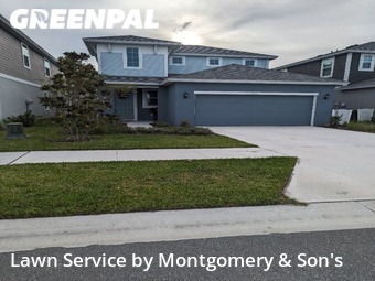 Grass Cut nearby Lakeland, FL, 