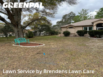 Yard Cutting nearby Spring Hill, FL, 
